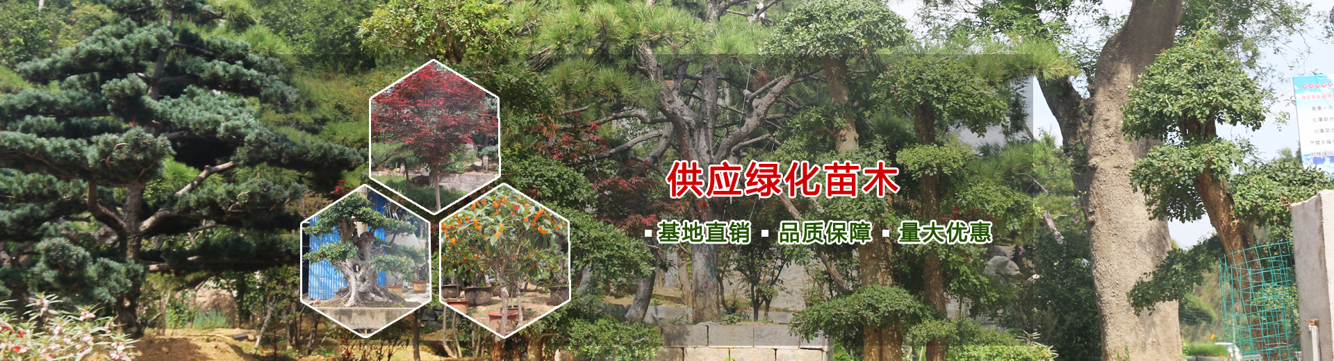 高壓渦街傳感器