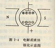電解質液體極化示意圖